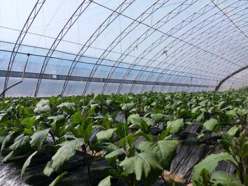 受阻胺光穩(wěn)定劑292可用在uv涂料里嗎 受阻胺光穩(wěn)定劑292可用在uv涂料里嗎